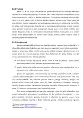 Inovatyvus indai 13 puslapis