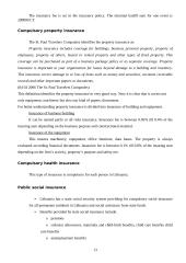 Insurance types 13 puslapis