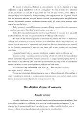 Insurance types 4 puslapis