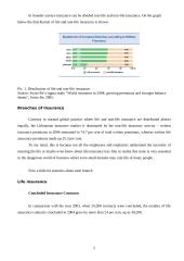 Insurance types 5 puslapis