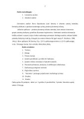 Interneto paslaugos populiarumas Visagino mieste: UAB "Akvanautas" 2 puslapis