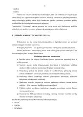 Interneto paslaugos populiarumas Visagino mieste: UAB "Akvanautas" 15 puslapis