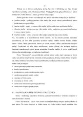 Interneto paslaugos populiarumas Visagino mieste: UAB "Akvanautas" 17 puslapis