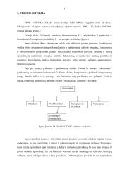 Interneto paslaugos populiarumas Visagino mieste: UAB "Akvanautas" 3 puslapis