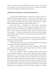 Interneto paslaugos populiarumas Visagino mieste: UAB "Akvanautas" 4 puslapis