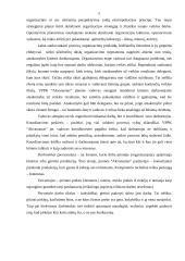 Interneto paslaugos populiarumas Visagino mieste: UAB "Akvanautas" 5 puslapis