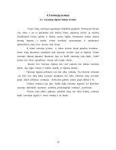 Interneto paslaugų pasirinkimo tyrimas 13 puslapis