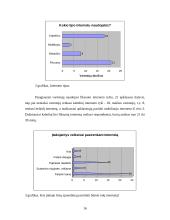 Interneto paslaugų pasirinkimo tyrimas 15 puslapis