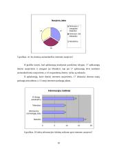 Interneto paslaugų pasirinkimo tyrimas 17 puslapis