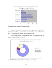 Interneto paslaugų pasirinkimo tyrimas 19 puslapis