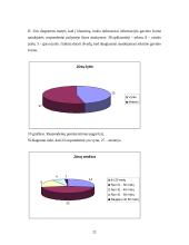 Interneto paslaugų pasirinkimo tyrimas 20 puslapis