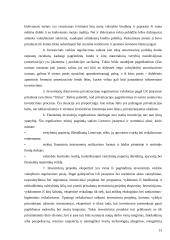 Investicijų ekonominė esmė 13 puslapis