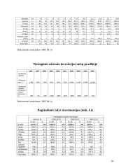 Investicijų ekonominė esmė 16 puslapis