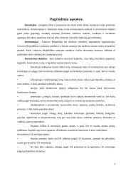 Investicijų ekonominė esmė 3 puslapis