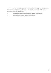 Investicijų ekonominė esmė 4 puslapis