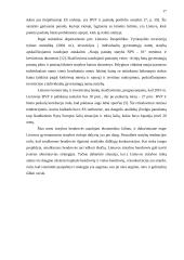 Investicijos į gyvenamųjų namų statybą Lietuvoje 16 puslapis