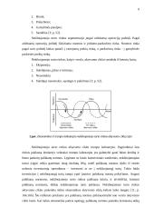 Investicijos į gyvenamųjų namų statybą Lietuvoje 8 puslapis