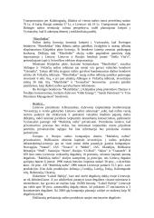 Investicijų Lietuvoje tyrimas 11 puslapis