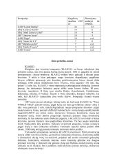 Investicijų Lietuvoje tyrimas 12 puslapis