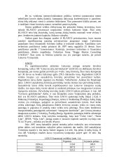 Investicijų Lietuvoje tyrimas 13 puslapis