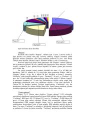 Investicijų Lietuvoje tyrimas 15 puslapis