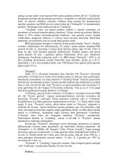 Investicijų Lietuvoje tyrimas 16 puslapis