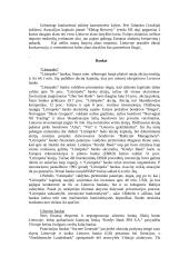 Investicijų Lietuvoje tyrimas 17 puslapis