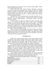 Investicijų Lietuvoje tyrimas 18 puslapis