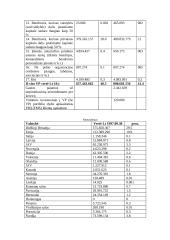 Investicijų Lietuvoje tyrimas 20 puslapis