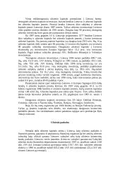 Investicijų Lietuvoje tyrimas 4 puslapis