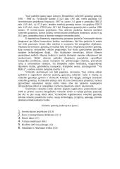 Investicijų Lietuvoje tyrimas 5 puslapis