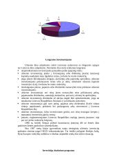 Investicijų Lietuvoje tyrimas 6 puslapis