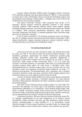 Investicijų Lietuvoje tyrimas 7 puslapis