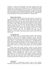 Investicijų Lietuvoje tyrimas 9 puslapis