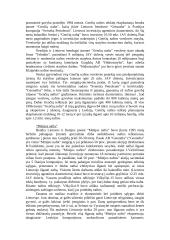 Investicijų Lietuvoje tyrimas 10 puslapis