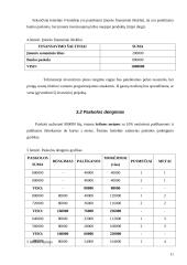 Investicinis projektas: UAB "Nematekas" 11 puslapis