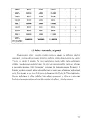 Investicinis projektas: UAB "Nematekas" 12 puslapis