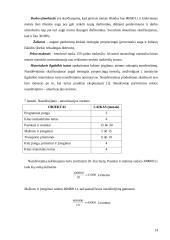 Investicinis projektas: UAB "Nematekas" 14 puslapis