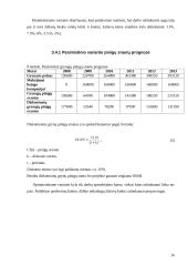 Investicinis projektas: UAB "Nematekas" 16 puslapis