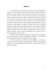 Investicinis projektas: UAB "Nematekas" 3 puslapis