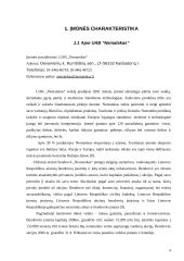 Investicinis projektas: UAB "Nematekas" 4 puslapis