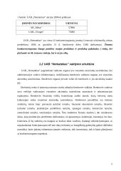 Investicinis projektas: UAB "Nematekas" 5 puslapis
