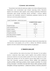 Investicinis projektas: UAB "Nematekas" 7 puslapis