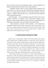 Investicinis projektas: UAB "Nematekas" 8 puslapis