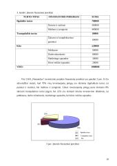 Investicinis projektas: UAB "Nematekas" 10 puslapis