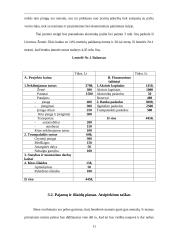 Investicinis projekto įvertinimas 11 puslapis