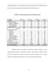 Investicinis projekto įvertinimas 12 puslapis