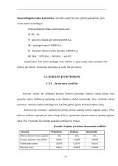 Investicinis projekto įvertinimas 14 puslapis