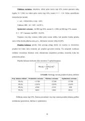 Investicinis projekto įvertinimas 16 puslapis