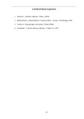 Investicinis projekto įvertinimas 19 puslapis